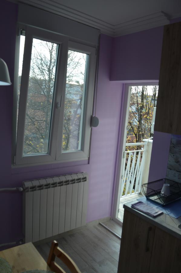 Apartman Gloria 2 Belgrad Exterior foto